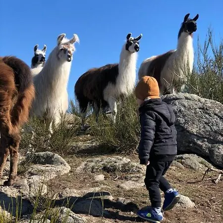 Lama-gite-des-puys Ecologique A 30km Des Pistes, Visite Aux Lamas Charge Ve Holiday home Montaigut-le-Blanc (Puy-de-Dome)